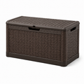 Auflagenbox in Braun, 120 × 55 × 60 cm, Kunststoff in Rattanoptik mit Klappdeckel